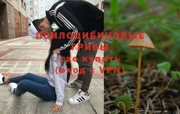 дурь Дмитров